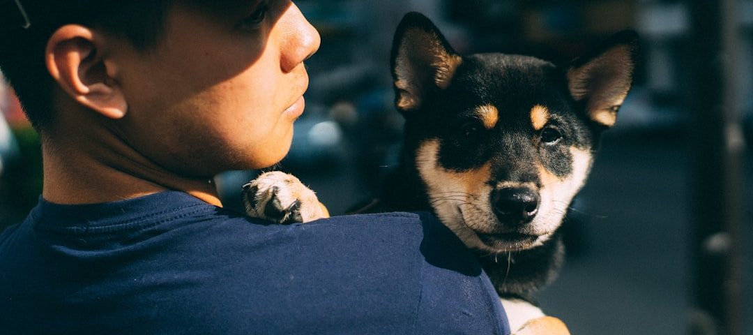 Photo pet insurance