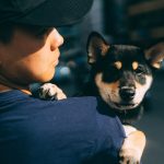 Photo pet insurance