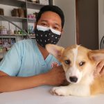 Photo dog insurance