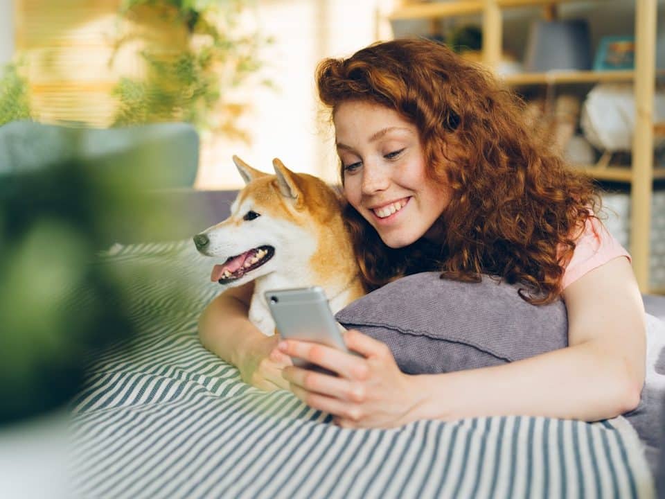 Photo pet health care insurance