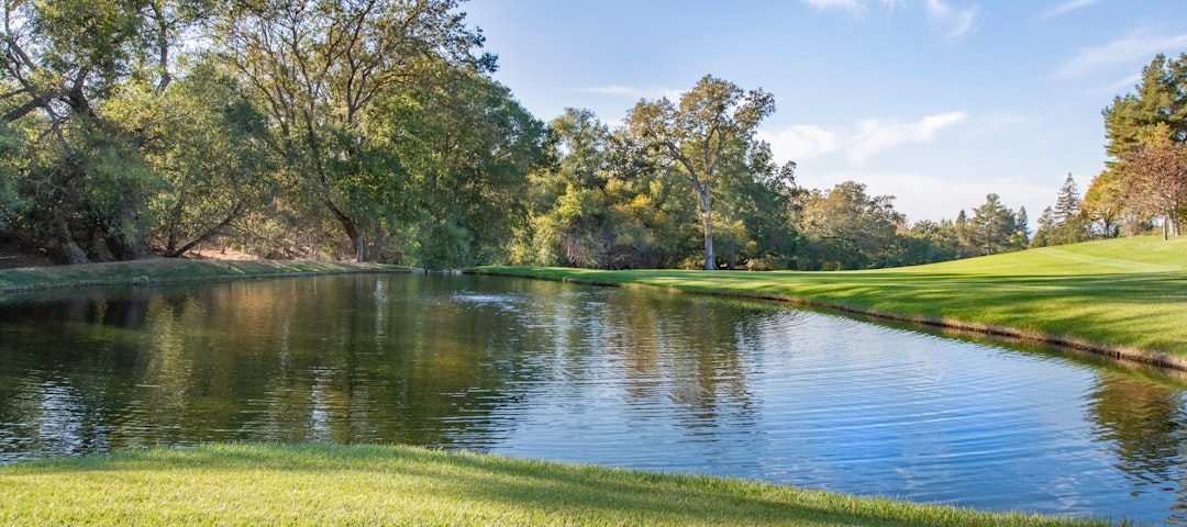 Photo pet insurance prices