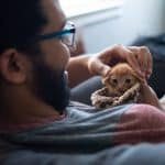 Photo pet healthcare insurance