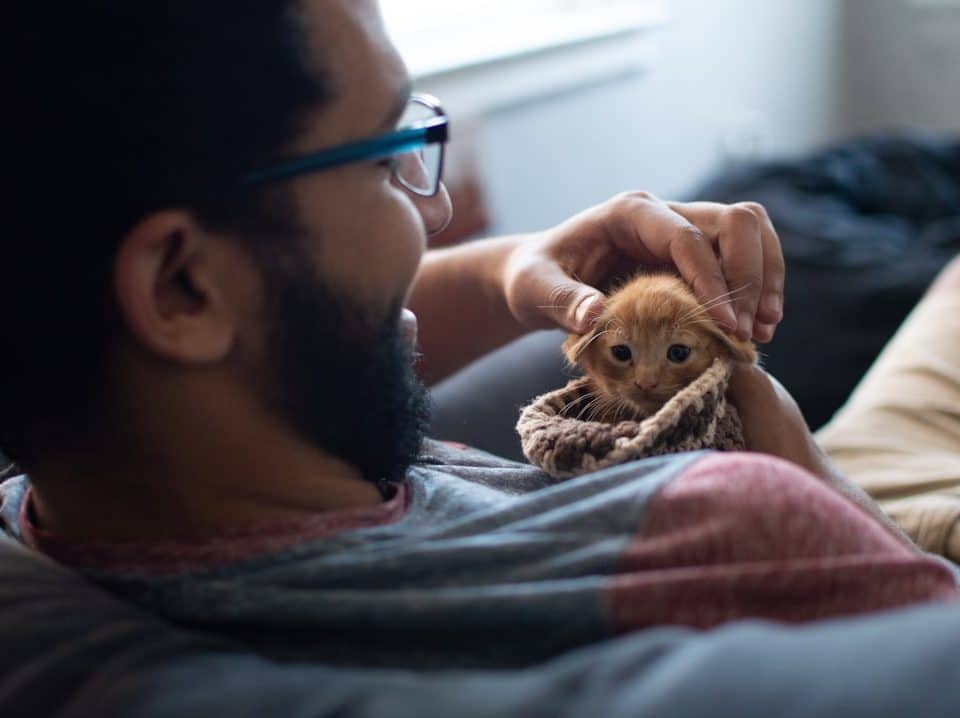 Photo pet healthcare insurance