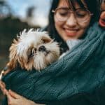 Photo pet insurance